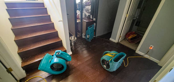 Best Emergency water extraction  in Fowlerville, MI